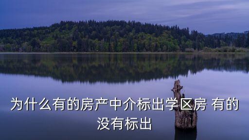 为什么有的房产中介标出学区房 有的没有标出