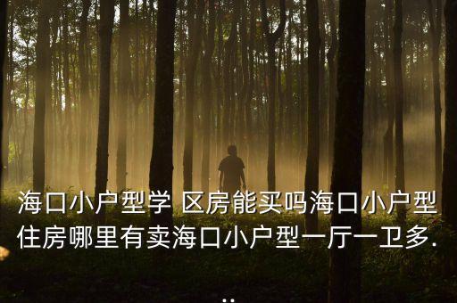 海口小户型学 区房能买吗海口小户型住房哪里有卖海口小户型一厅一卫多...