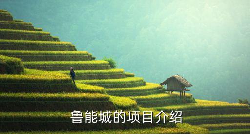  鲁能城的项目介绍