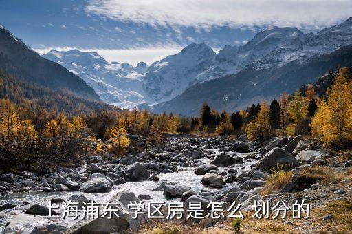 上海浦东 学区房是怎么 划分的