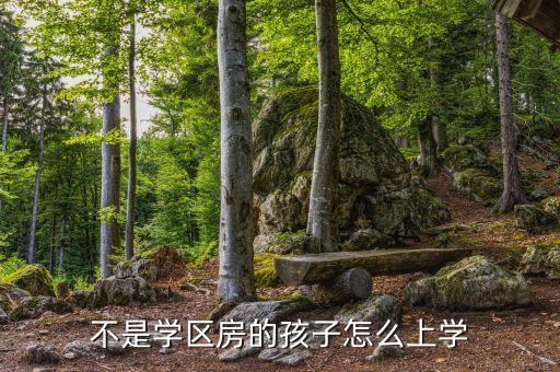 不是学区房的孩子怎么上学