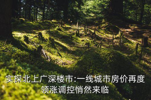 南沙一套学区房多少钱