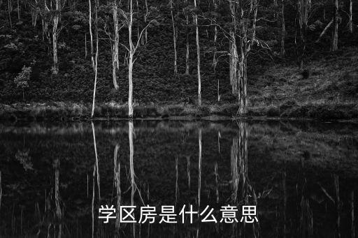 学区房是什么意思