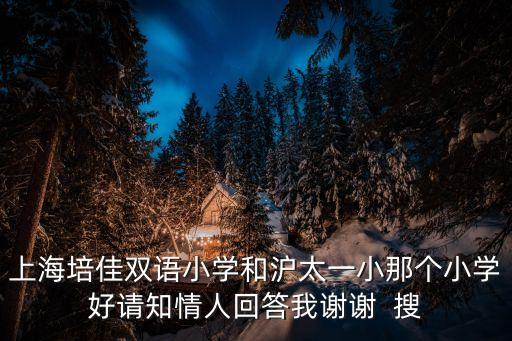 上海培佳双语小学和沪太一小那个小学好请知情人回答我谢谢  搜