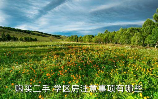 购买二手 学区房注意事项有哪些