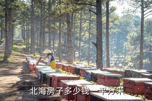  北海房子多少钱一平方米