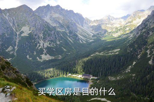 为什么规划学区房，很多人为了孩子上学将就着买学区房那为什么
