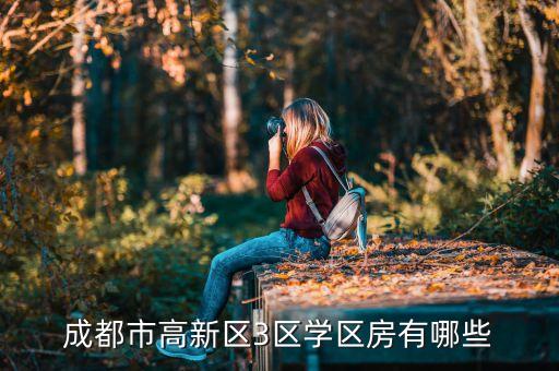 成都市高新区3区学区房有哪些
