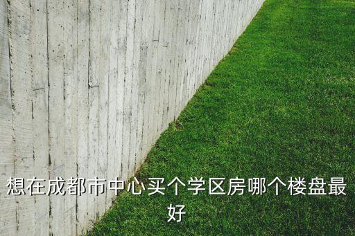 想在成都市中心买个学区房哪个楼盘最好