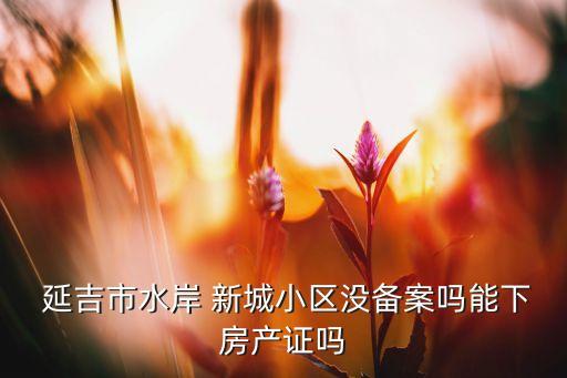  延吉市水岸 新城小区没备案吗能下房产证吗