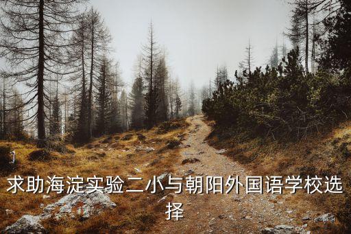 学区房什么时候换，求助海淀实验二小与朝阳外国语学校选择