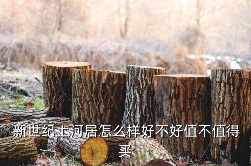  新世纪上河居怎么样好不好值不值得买
