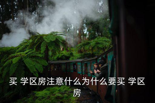 买 学区房注意什么为什么要买 学区房