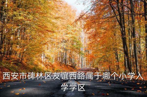 西安市碑林区友谊西路属于哪个小学入学学区