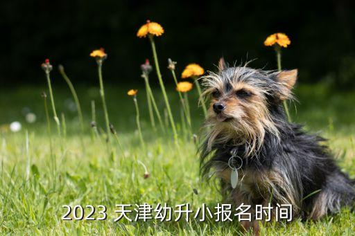 2023 天津幼升小报名时间