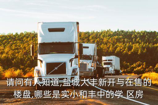 请问有人知道,盐城大丰新开与在售的楼盘,哪些是实小和丰中的学 区房