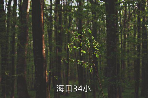 海口34小