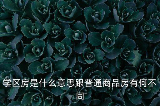 什么房子称作学区房啊，什么房子才叫真正的学区房