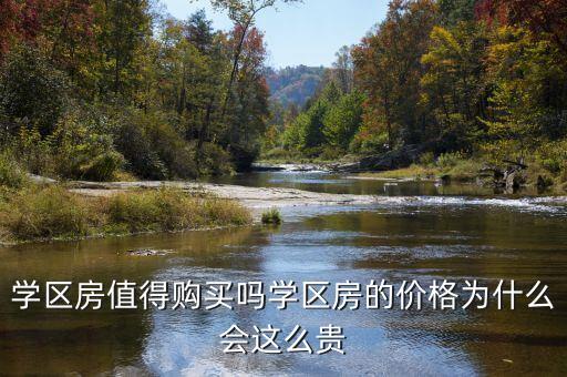 学区房值得购买吗学区房的价格为什么会这么贵