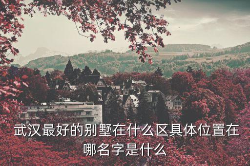 武汉别墅区排名