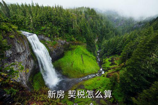 学区房新房契税交多少,新房房契税什么时候交