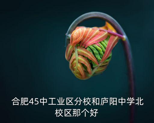 合肥45中工业区分校和庐阳中学北校区那个好