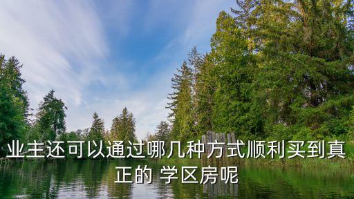 业主还可以通过哪几种方式顺利买到真正的 学区房呢