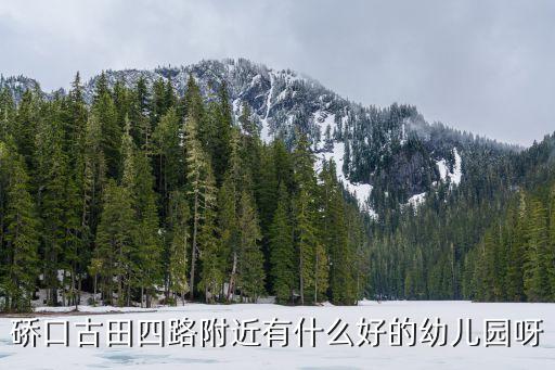 硚口古田四路附近有什么好的幼儿园呀