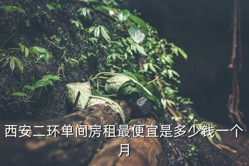 西安二环单间房租最便宜是多少钱一个月