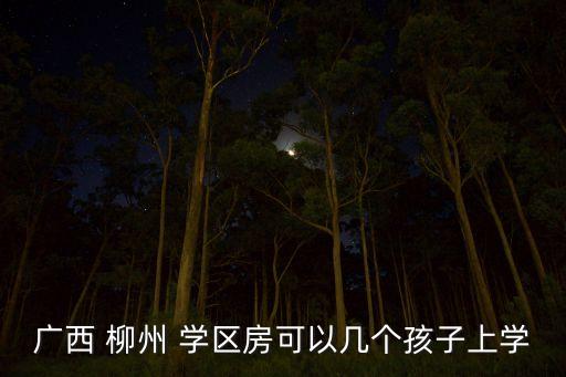 柳州买房学区房要多少钱