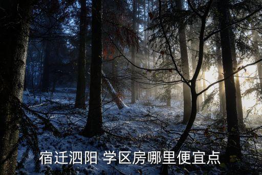 宿迁泗阳 学区房哪里便宜点