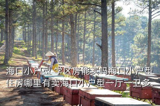 海口小户型 学区房能买吗海口小户型住房哪里有卖海口小户型一厅一卫多...