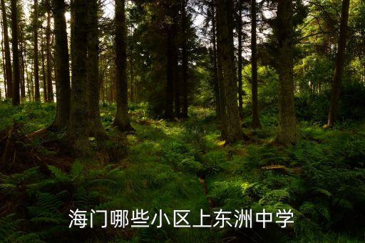 海门哪些小区上东洲中学