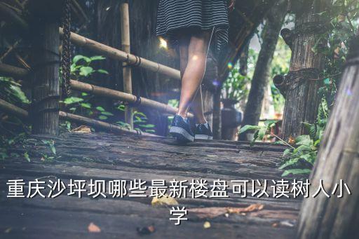 重庆沙坪坝哪些最新楼盘可以读树人小学