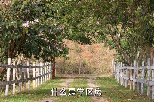 什么是学区房