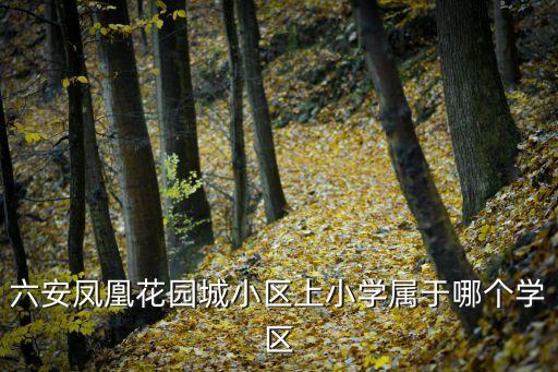 六安凤凰花园城小区上小学属于哪个学区