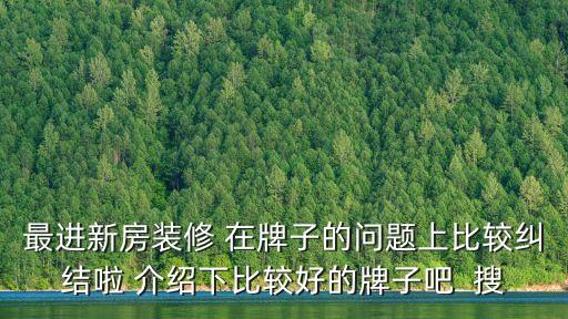 最进新房装修 在牌子的问题上比较纠结啦 介绍下比较好的牌子吧  搜