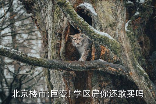 北京楼市:巨变! 学区房你还敢买吗