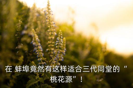 蚌埠智慧锦城是哪个学区房