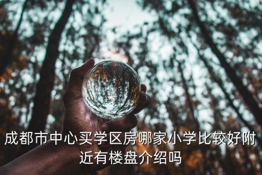 成都市中心买学区房哪家小学比较好附近有楼盘介绍吗