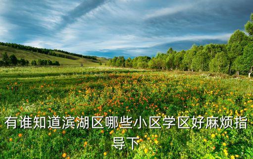有谁知道滨湖区哪些小区学区好麻烦指导下