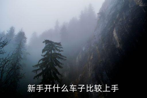 买学区房都开什么车子上，新手开什么车子比较上手
