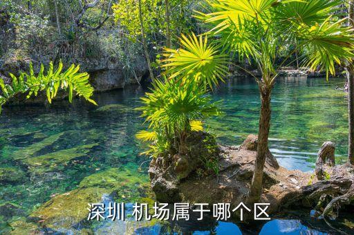 深圳宝安机场学区房在哪里