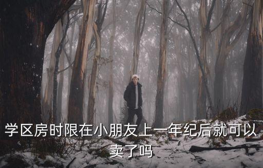 学区房时限在小朋友上一年纪后就可以卖了吗