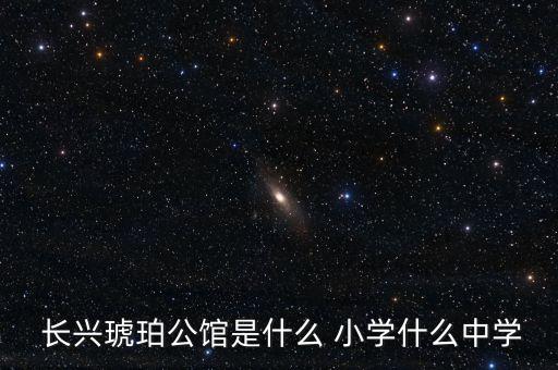  长兴琥珀公馆是什么 小学什么中学