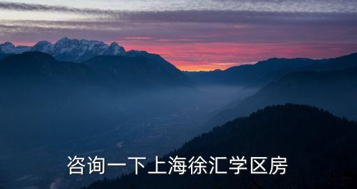 上海学区房提前什么时候买，咨询一下上海徐汇学区房