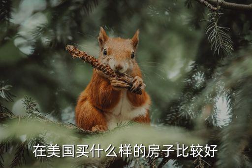 在美国买什么样的房子比较好