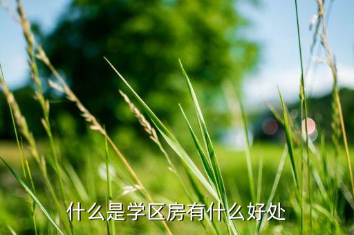 学区房对人有什么好处，孩子的未来学区房到底有多重要