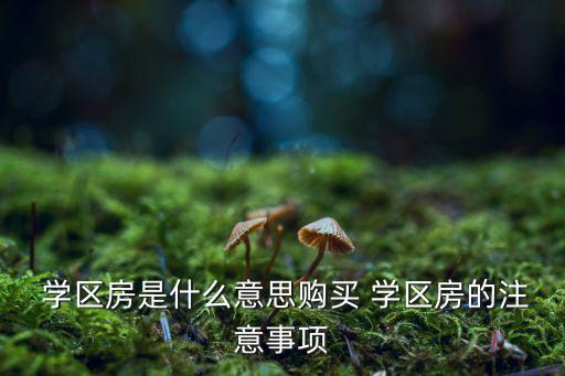 邵武学区房有哪些楼盘