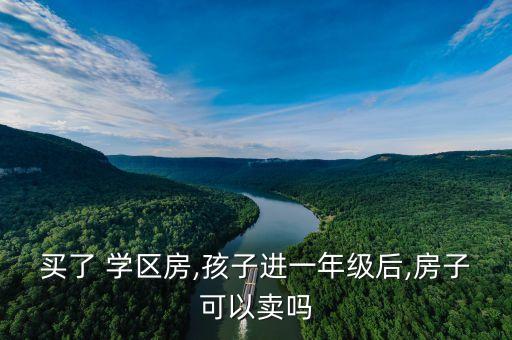 买了 学区房,孩子进一年级后,房子可以卖吗